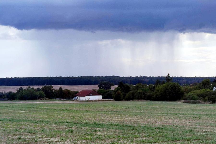 Wetterbericht für Sachsen-Anhalt (08.06.2025)