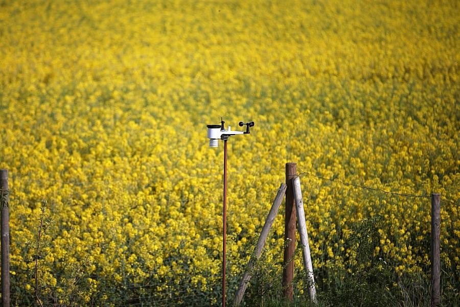 Wetterbericht für Sachsen (17.06.2025)