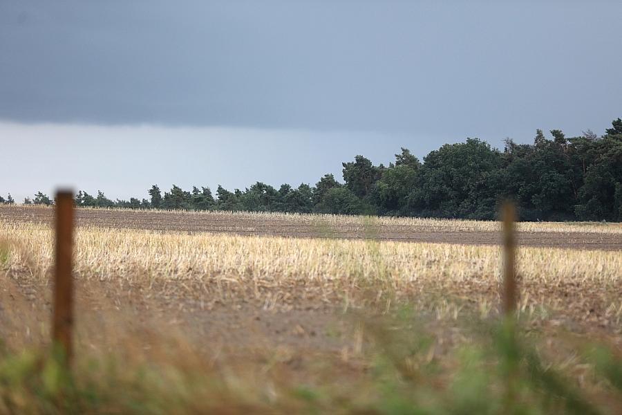 Wetterbericht für Sachsen (09.06.2025)