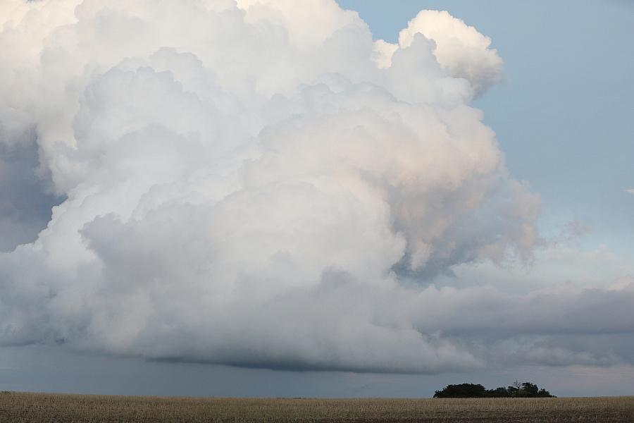 Wetterbericht für Sachsen (15.06.2025)