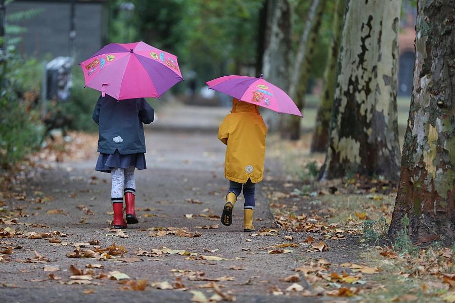 Adoptionen in Sachsen-Anhalt deutlich gestiegen