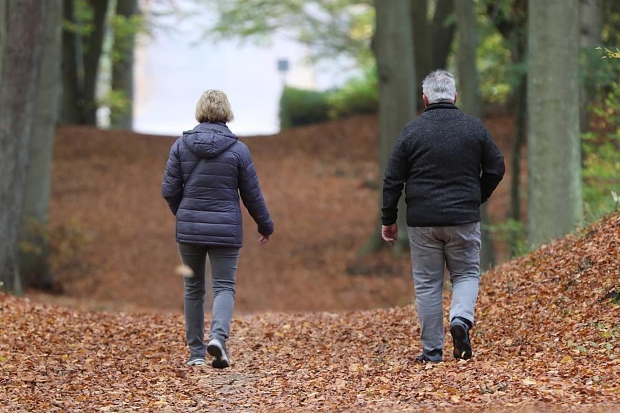 Über 1,4 Millionen Rentner in Deutschland arbeiten – Linken-Politiker warnt vor niedrigem Rentenniveau