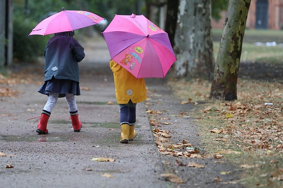 Wetterbericht für Sachsen (12.07.2025)