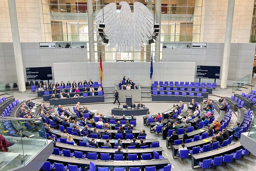 Bundestagsdebatte zu Srebrenica: Abgeordnete sollen auf Srebrenica-Blume verzichten