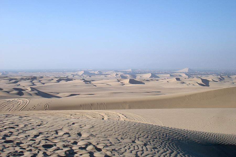Hamburger Studie: Wachsende Namib-Wüste gefährdet Artenvielfalt in Unesco-Welterbestätte Richtersveld