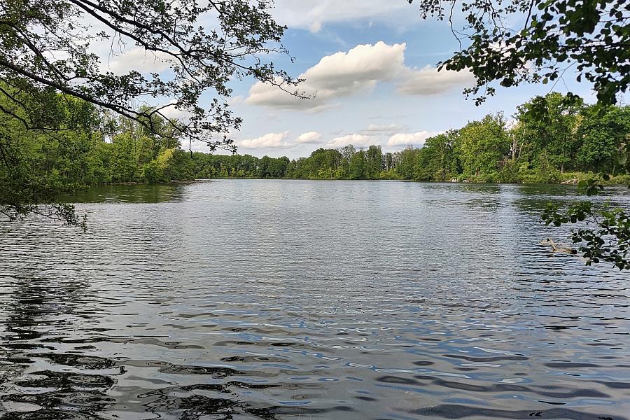 Chemnitz warnt vor Baden in Flüssen und Bächen