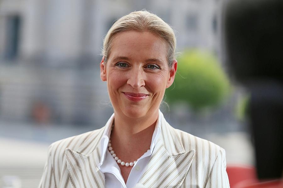 Forsa: AfD weiter stärkste Kraft – Union und Linke legen zu