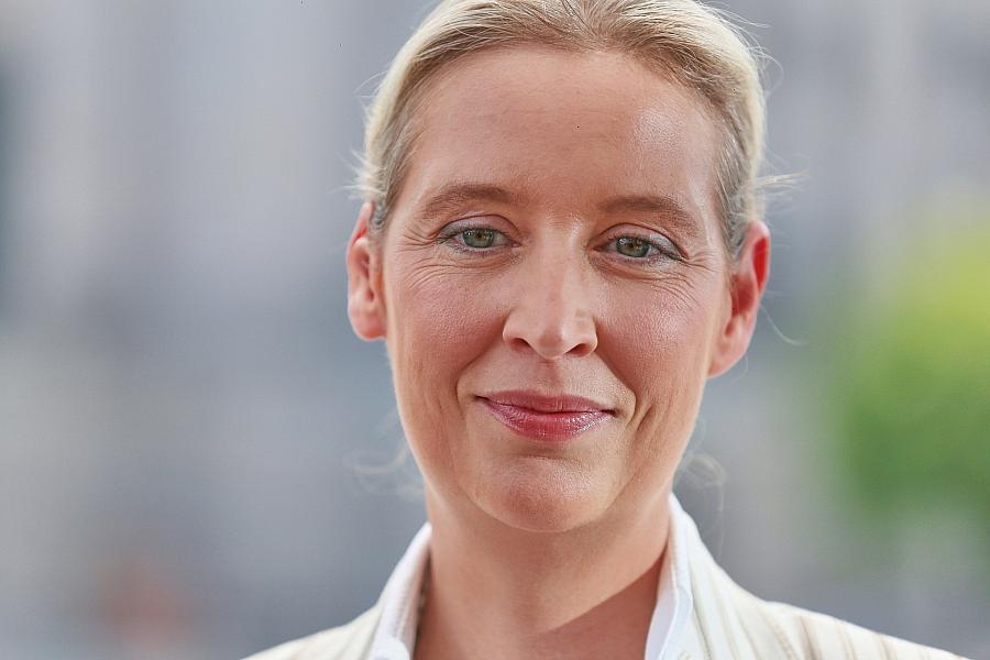 Insa: AfD steigt auf 25 Prozent im Sonntagstrend – CDU/CSU bleibt stärkste Kraft