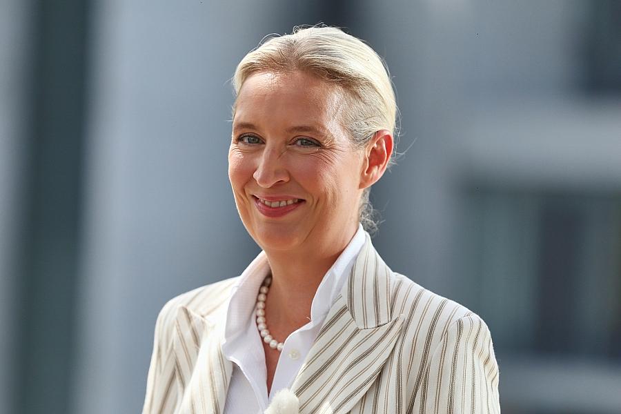 AfD erreicht Rekord-Wählerpotenzial von 34 Prozent in aktueller Umfrage