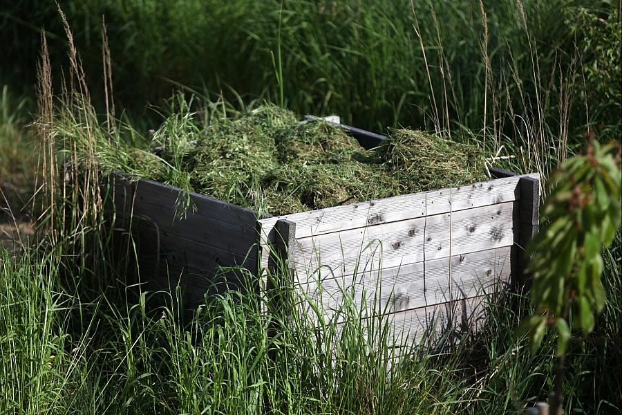 Sachsen-Anhalt will Igel besser vor Mährobotern schützen