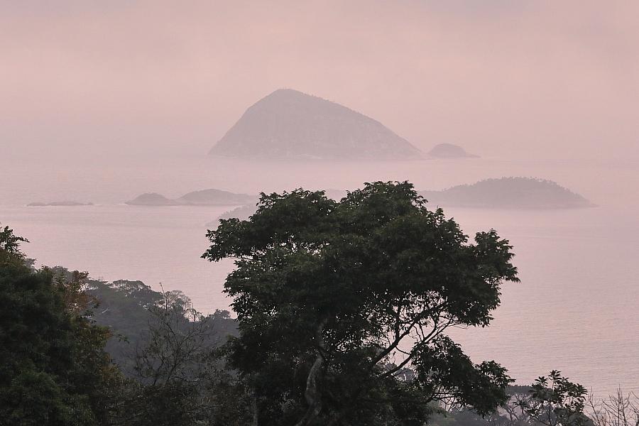 Deutschland investiert eine Milliarde Euro in brasilianischen Regenwald-Fonds