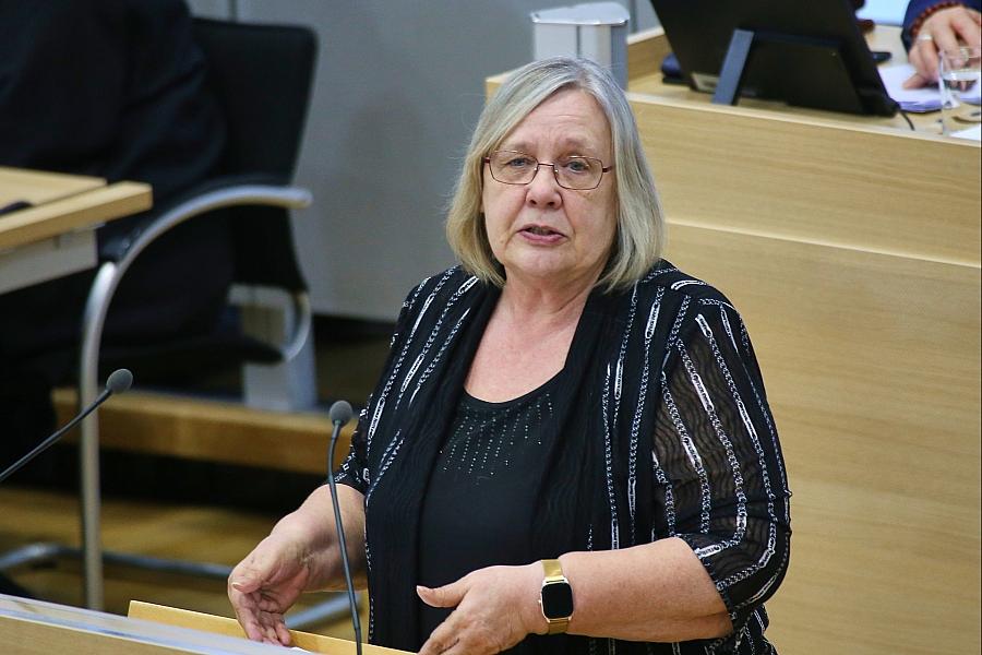 Linke fordert dauerhafte Verankerung der Schulsozialarbeit