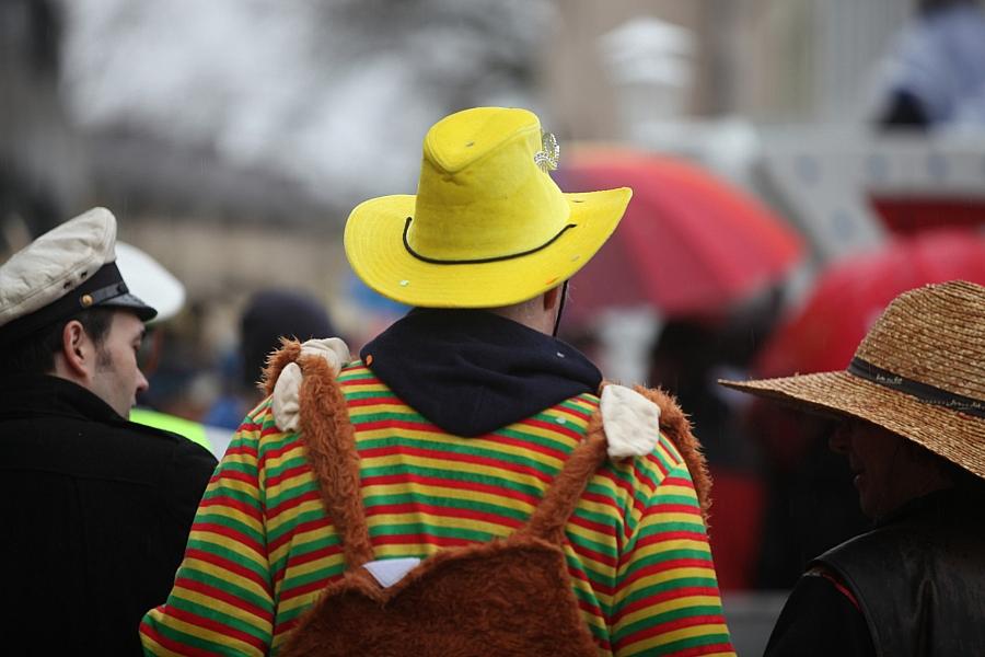 Karneval und Haustiere: Tierschutzbeauftragte warnt vor Stress für Tiere auf Umzügen