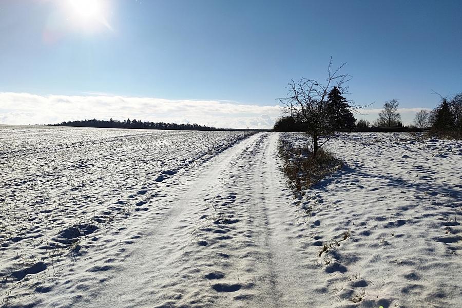 Wetterbericht für Sachsen (26.01.2026)