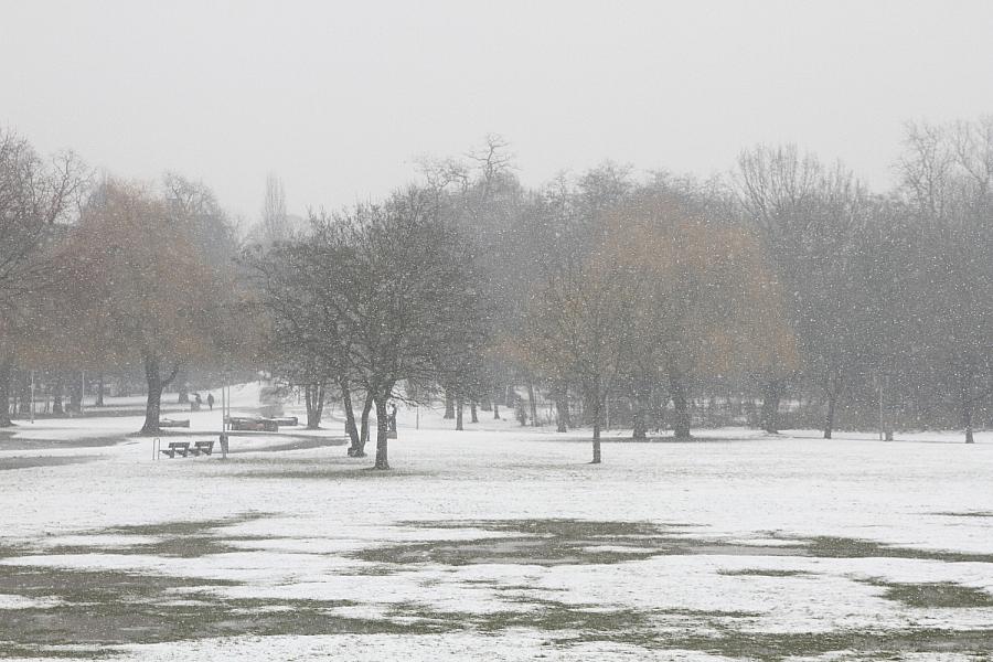Wetterbericht für Sachsen-Anhalt (26.01.2026)