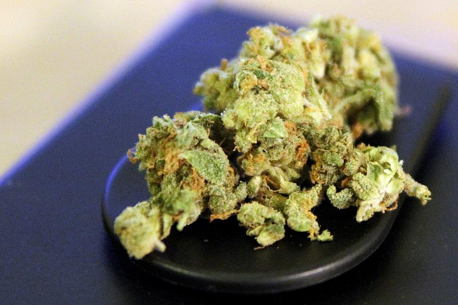 Europa: Illegale Cannabis-Schwemme aus USA und Kanada nimmt dramatisch zu