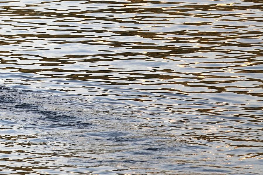 Studie: Hohes Vertrauen in Dessauer Trinkwasser