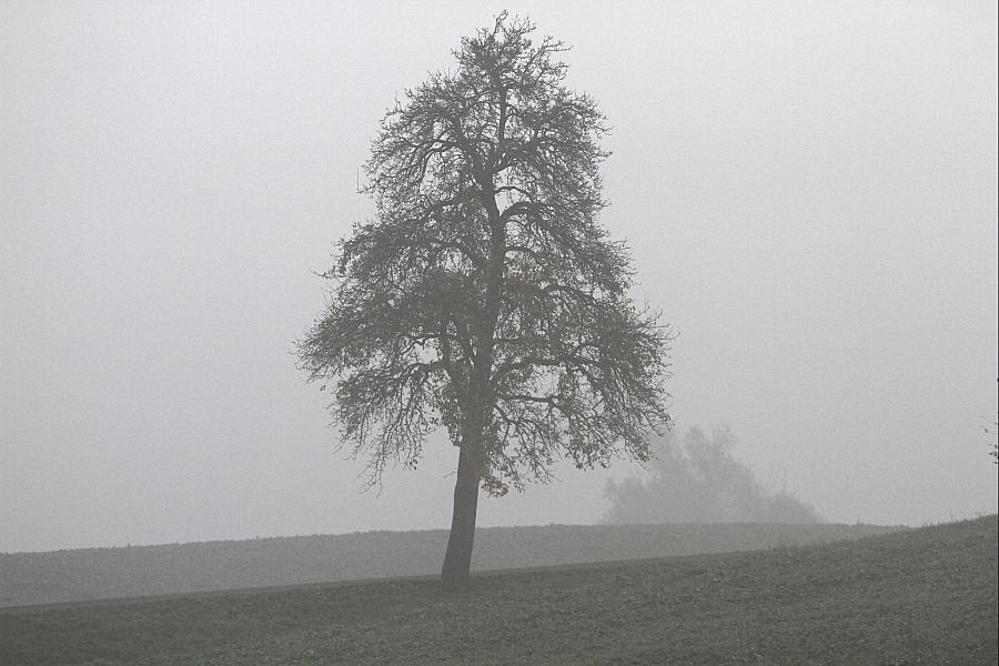 Wetterbericht für Sachsen (05.02.2026)