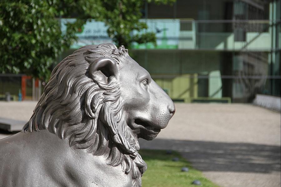 Grüne kritisieren Verzögerung bei Einführung des Bachelor of Laws in Halle