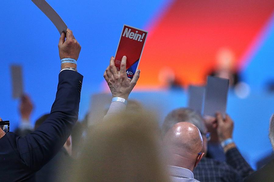 AfD: Mitglieder fordern Sonderparteitag bis März 2026