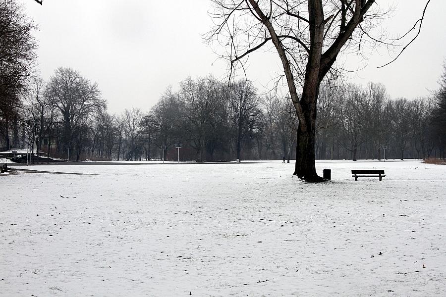 Wetterbericht für Sachsen-Anhalt (05.02.2026)