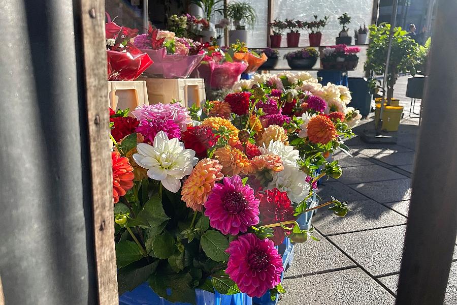 Valentinstag 2025: Preise für Pralinen und Blumen steigen stärker als Inflation