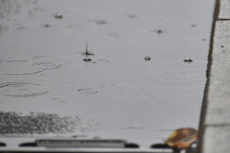 Wetterbericht für Sachsen-Anhalt (13.03.2026)