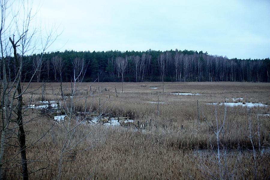 EU genehmigt 1,3 Milliarden Euro für Wiedervernässung von Mooren in Deutschland