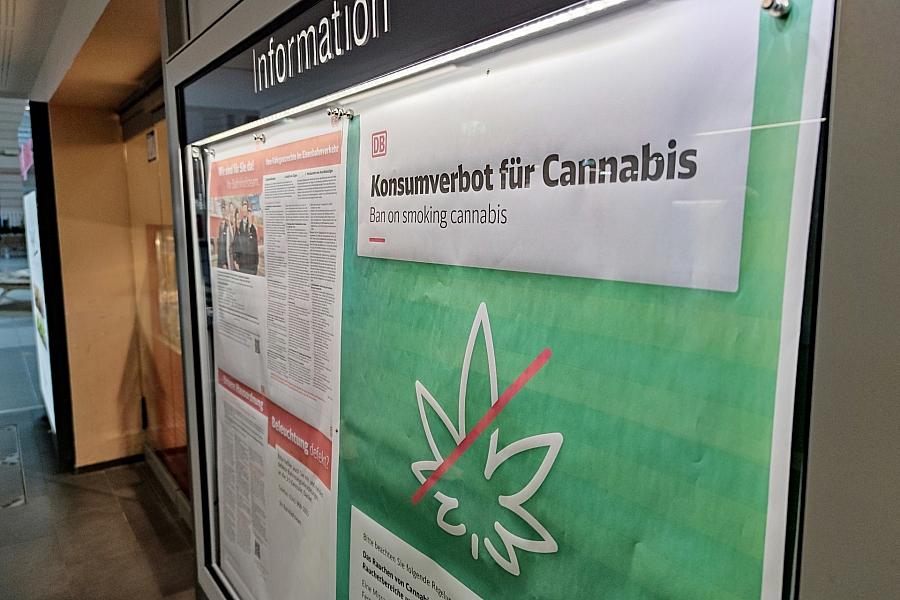 Grüne fordern leichteren Zugang zu Cannabis und kritisieren Graubereich bei Medizinalhanf