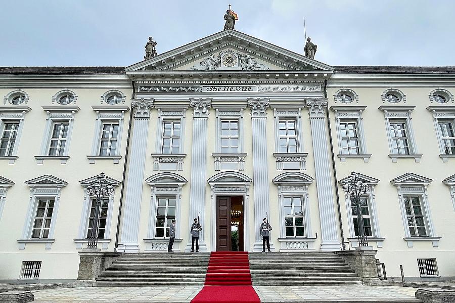 Schloss Bellevue Sanierung: 157 Frösche und Molche vor Baustart umgesiedelt