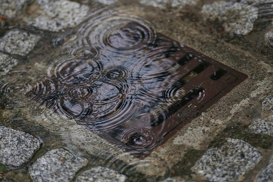 Wetterbericht für Sachsen (20.04.2026)