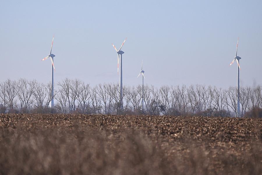 BSW wirft Energieminister Panter Blindflug beim Windkraftausbau vor