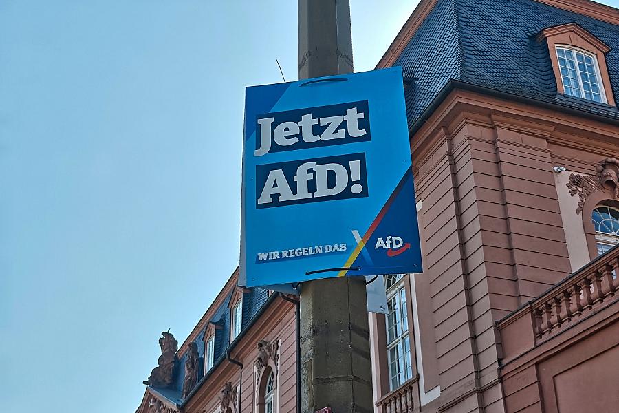 Bertelsmann-Studie: Gezielte Subventionen senken AfD-Stimmanteile