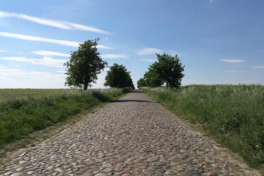 Wetterbericht für Sachsen-Anhalt (28.05.2026)