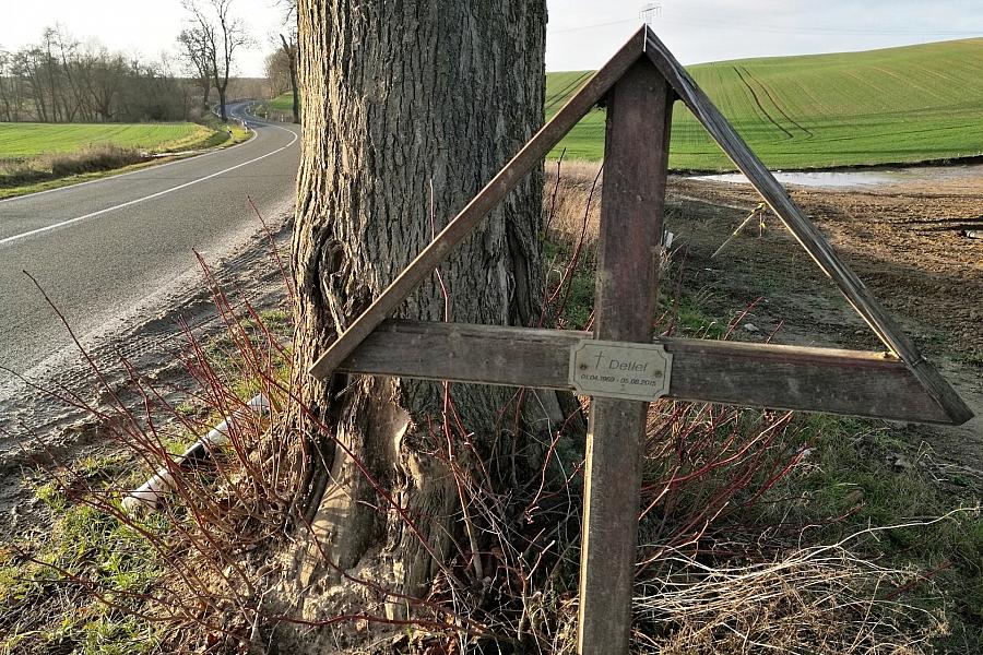 Grüne: Sachsen-Anhalt benötigt sichere Straßen