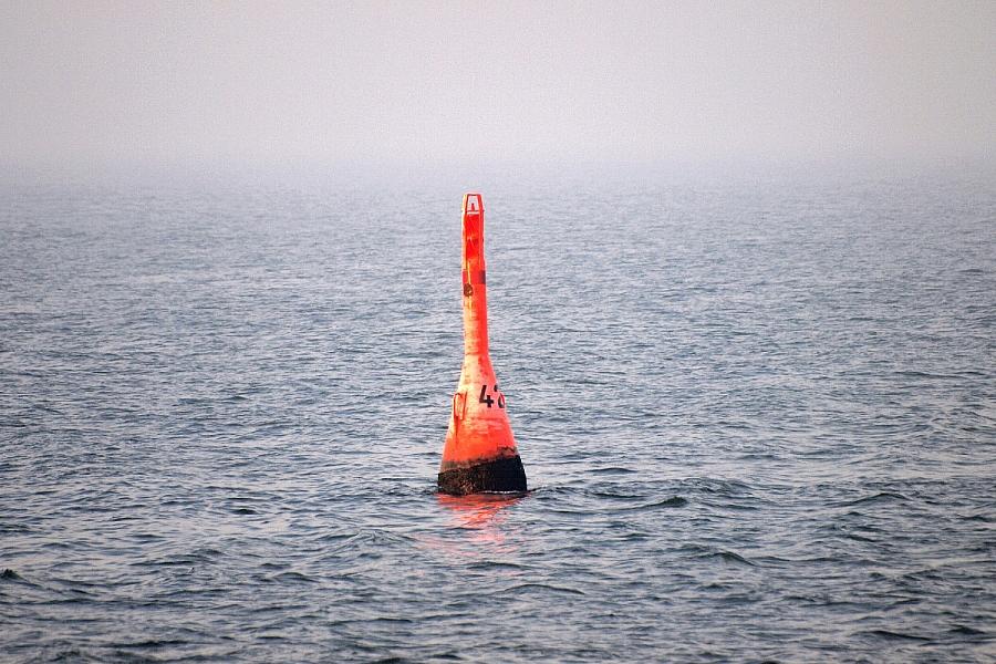 Experten des Deutschen Meeresmuseums: Gestrandeter Buckelwal in der Ostsee ist vermutlich tot