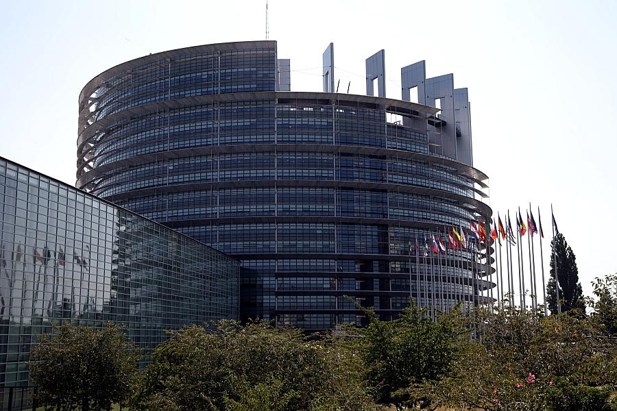 Mehr als 181 EU-Abgeordnete stellen Antrag auf Verbotsverfahren gegen AfD-Dachpartei ESN