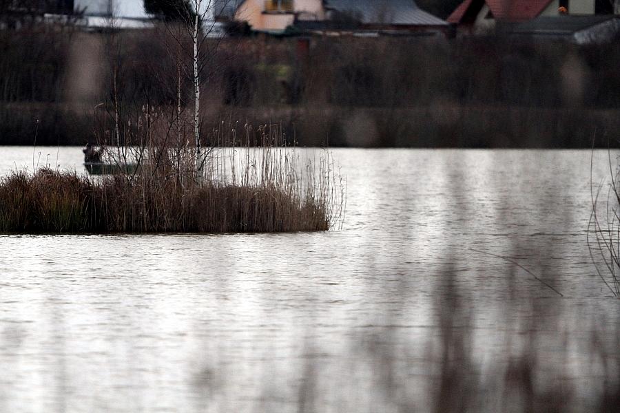 Oberbürgermeister kritisiert pauschales Einlassverbot am Heidesee in Halle