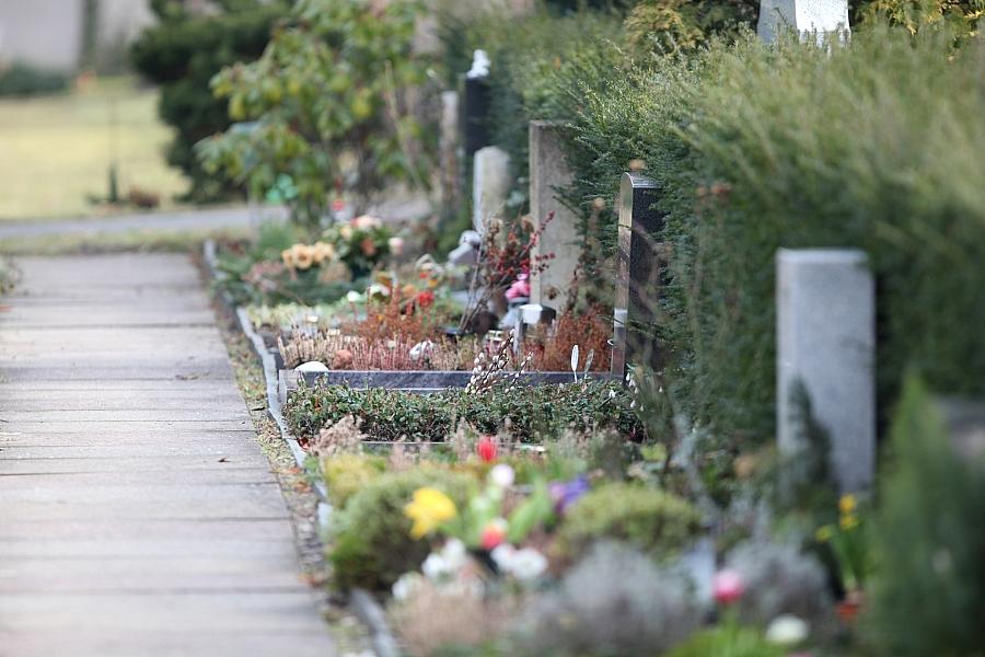 Hitze in Deutschland: Friedhofsgärtner fordern Ausnahmen von Gießverboten für Gräber