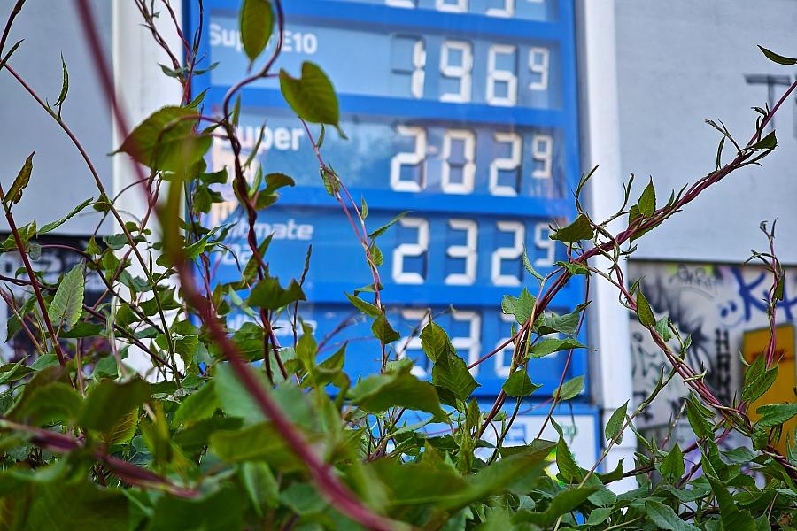 Nach Tankrabatt-Ende: Bundesratsausschuss stimmt für Preisobergrenze bei Benzin und Diesel