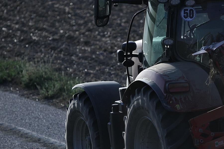 Schweinehalterin Klingelhöller warnt vor Betriebsaufgaben wegen niedriger Erzeugerpreise