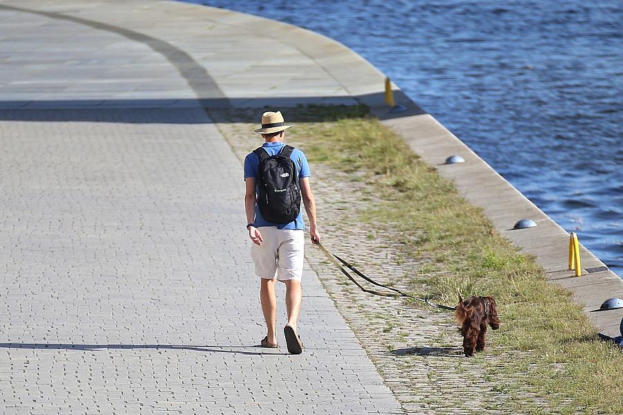 Juli 2026: Südwesten mit Rekord-Sonnenschein und Trockenheit, Nordosten im Schatten