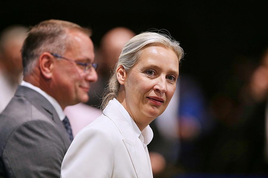 Forsa: AfD weiter vorn – Merz auf Allzeittief