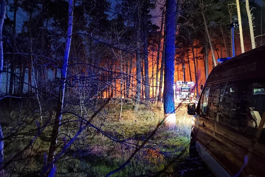 Waldbrandgefahrenstufe 5 droht für Dessau-Roßlau