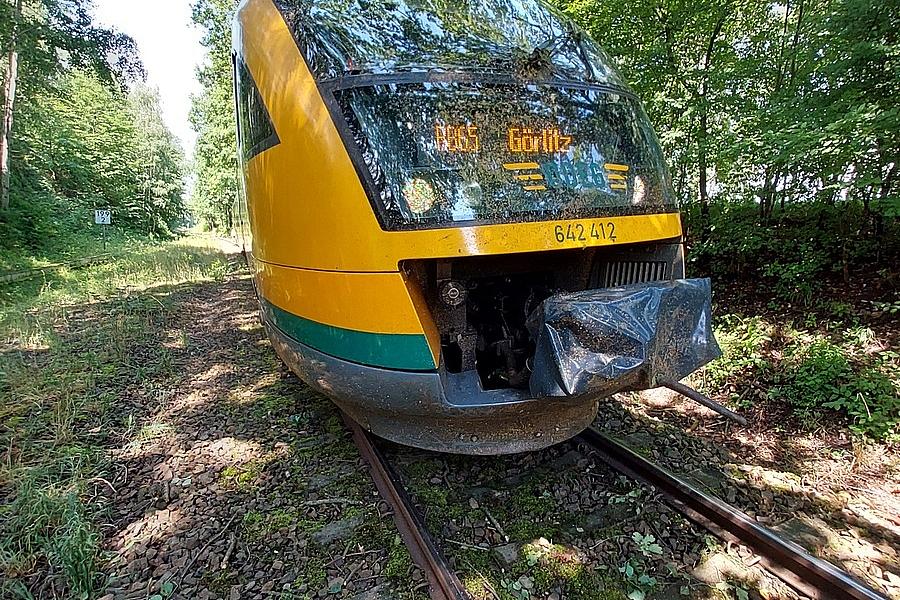 Regionalbahn kollidiert auf Strecke Cottbus-Görlitz mit umgestürztem Baum