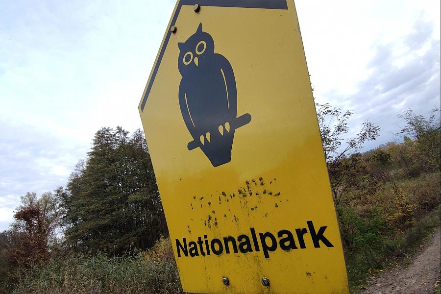 Müritz-Nationalpark: Experte nennt Löschtaktik der Behörden fachlich „schwer nachvollziehbar“