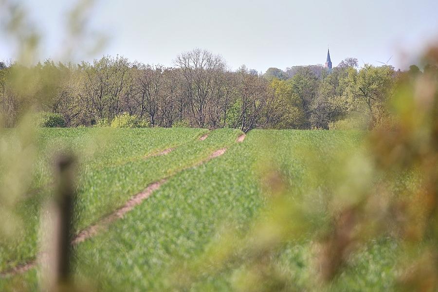 Sachsen-Anhalt fördert autonomes Fahren in der Landwirtschaft