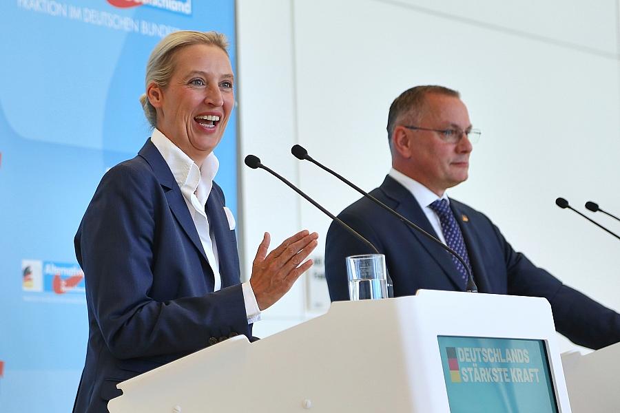 Forsa: AfD bleibt auf Rekordkurs – Merz-Zustimmung fällt weiter