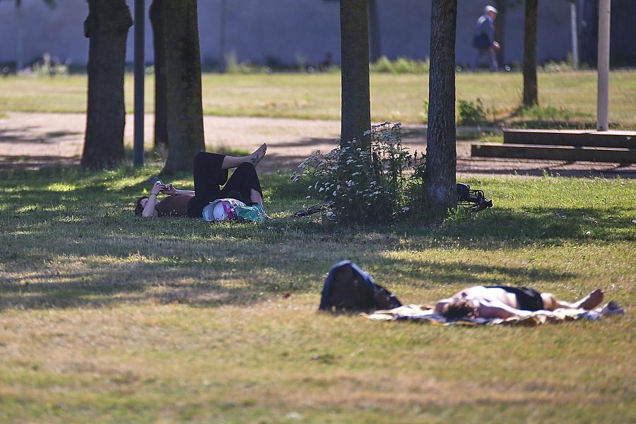 Hitze und Trockenheit prägen extremen Sommer 2026