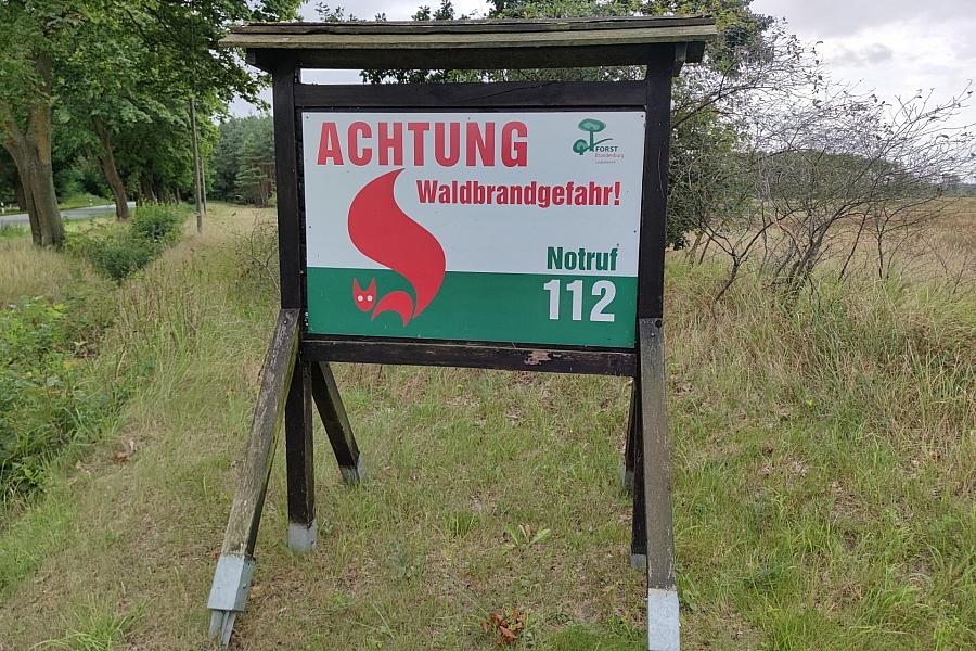 Waldbrände in Deutschland: SPD fordert höhere Strafen für Brandstiftung
